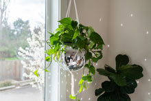 Load image into Gallery viewer, 10&quot; Disco Planter with Macrame
