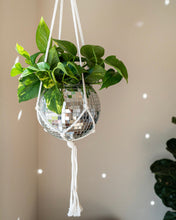 Load image into Gallery viewer, 6&quot; Disco Planter with White Macrame + Flat Base
